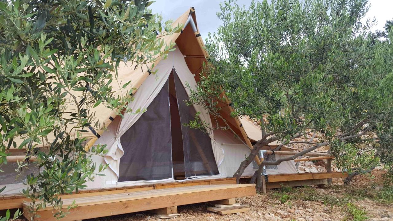 Camping Aloa 볼 외부 사진
