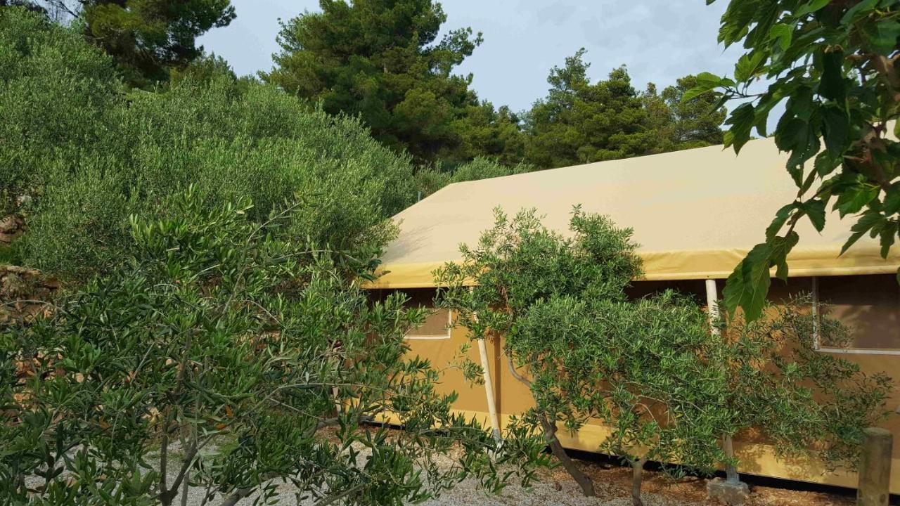Camping Aloa 볼 외부 사진